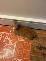 Load image into Gallery viewer, Nemo approves of reek Key Floorcloth #3.