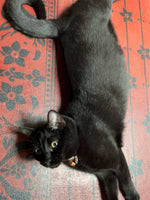 Load image into Gallery viewer, Yokai expressing his love for Starflower Floorcloth #1.