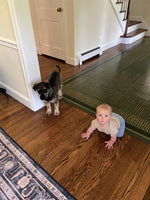 Load image into Gallery viewer, Autumn Leaves Floorcloth #5 and some very cute characters.