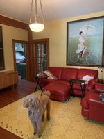 Load image into Gallery viewer, Image of this floorcloth in-situ. The design is based on a pattern found in the Edward Durant House in Newton, MA, c1734.  Dogs really like floorcloths