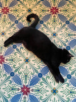 Load image into Gallery viewer, Tanuki resting comfortably on this floorcloth.