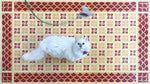 Load image into Gallery viewer, A full image of our Petal & Circle Floorcloth #2 with Opal providing scale.