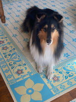 Load image into Gallery viewer, This beautiful Collie is one of the inhabitants of this 1880 farmhouse.