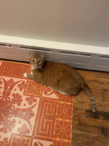 Nemo approves of reek Key Floorcloth #3.