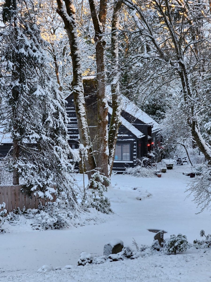 Cabin in the woods - home of Mudcloth Floorcloth #2.