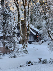 Cabin in the woods - home of Mudcloth Floorcloth #2.