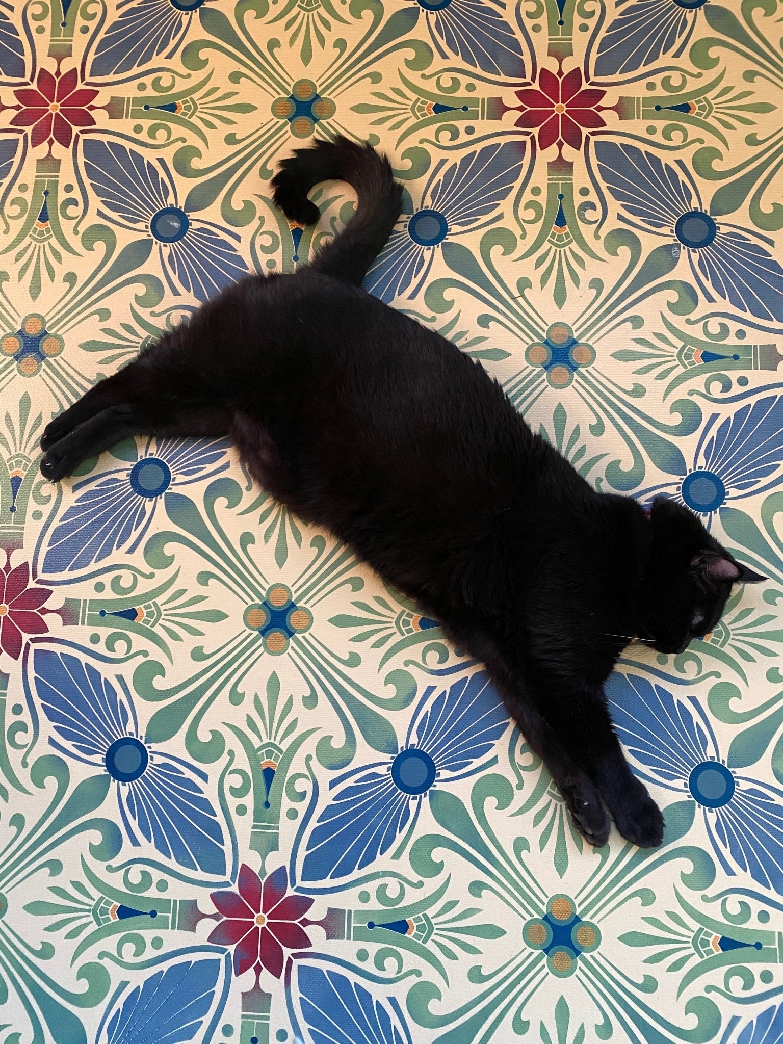 Tanuki resting comfortably on this floorcloth.