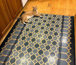 Honeycomb Floorcloth #2 in-situ, with the Nemo The Cat (NTK) providing scale (he can't be one-upped by Rupert.)