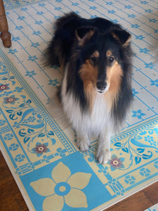 This beautiful Collie is one of the inhabitants of this 1880 farmhouse. 