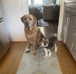 In-situ image of Mudcloth Floorcloth #1 with Moon and Oscar looking darn cute!